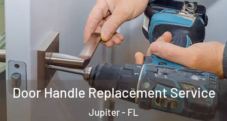  Door Handle Replacement Service Jupiter - FL