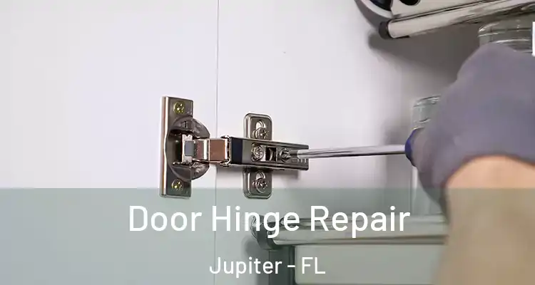  Door Hinge Repair Jupiter - FL