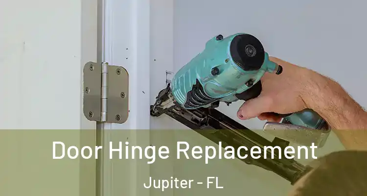  Door Hinge Replacement Jupiter - FL