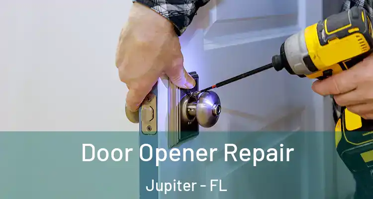  Door Opener Repair Jupiter - FL