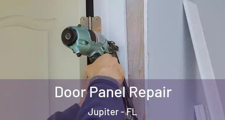  Door Panel Repair Jupiter - FL