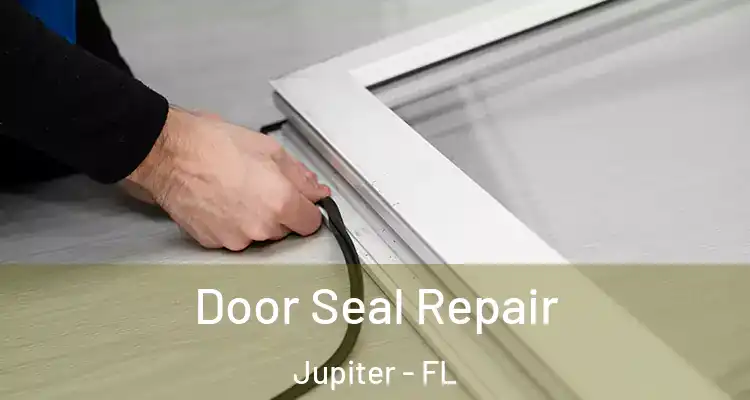  Door Seal Repair Jupiter - FL