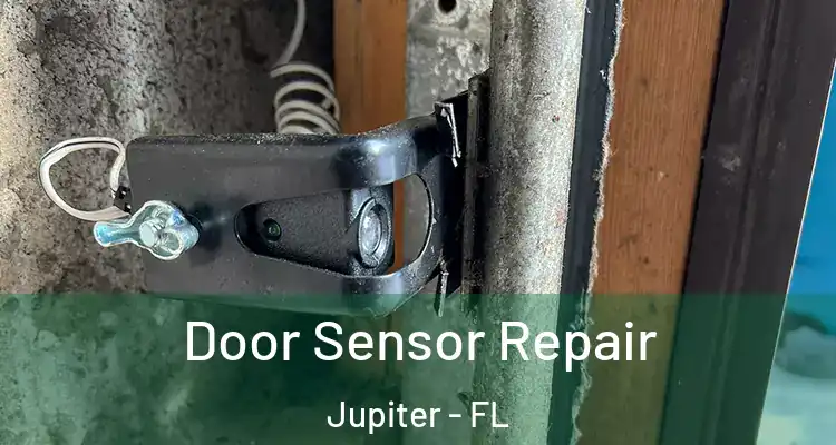  Door Sensor Repair Jupiter - FL