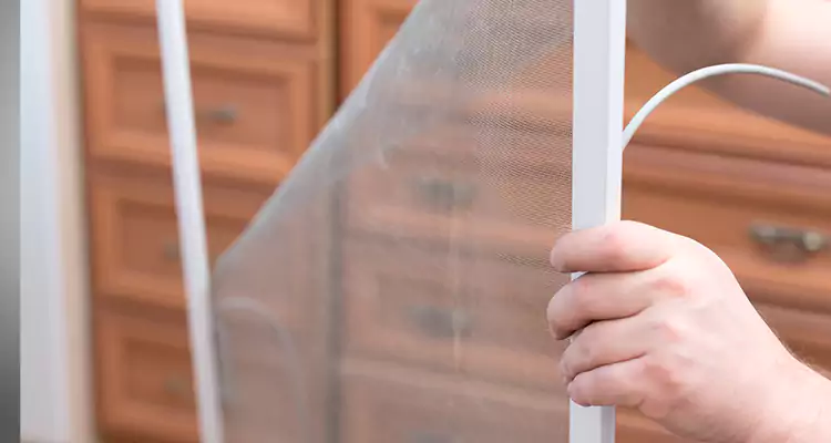 Privacy Mesh Screen Door Installation in Jupiter, FL