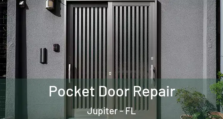  Pocket Door Repair Jupiter - FL