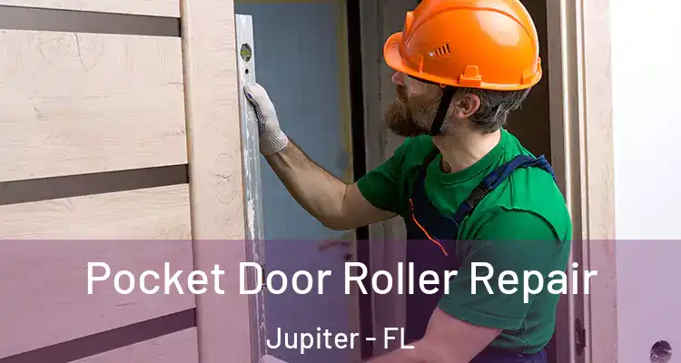  Pocket Door Roller Repair Jupiter - FL