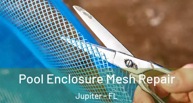  Pool Enclosure Mesh Repair Jupiter - FL
