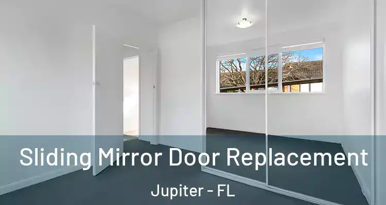  Sliding Mirror Door Replacement Jupiter - FL