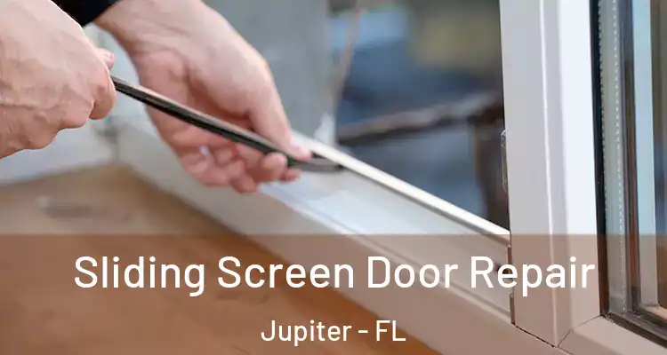  Sliding Screen Door Repair Jupiter - FL