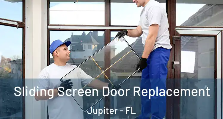  Sliding Screen Door Replacement Jupiter - FL