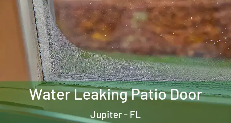  Water Leaking Patio Door Jupiter - FL