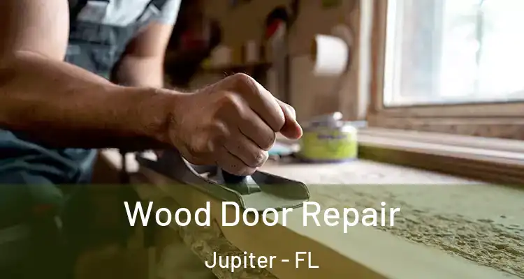  Wood Door Repair Jupiter - FL